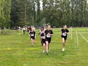 Cross (3)