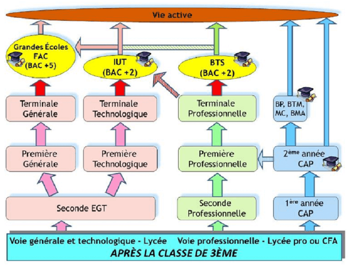 Sans titre 5