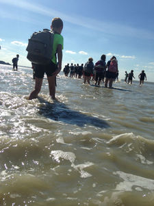 Traversée de la baie